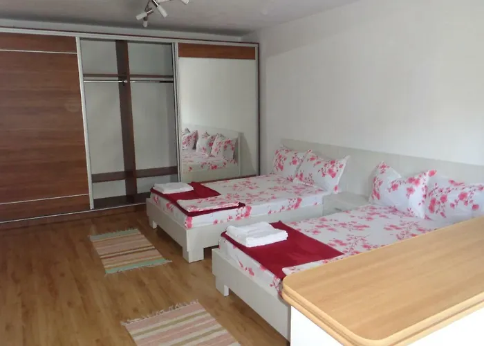 Munteanu エフォリエ・ノルド