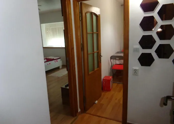 Munteanu エフォリエ・ノルド